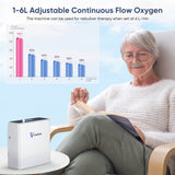 Best Selling VARON 1-6L Continuous Flow Portable Oxygen Concentrator NT-06