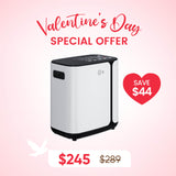 1-6L Home Oxygen Concentrator NT-09